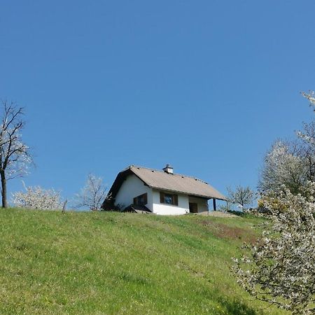 Apartma Pusa Pesnica pri Mariboru Extérieur photo