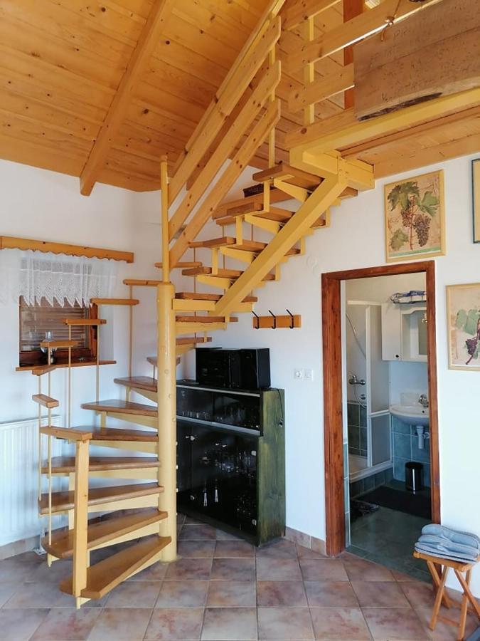 Apartma Pusa Pesnica pri Mariboru Extérieur photo