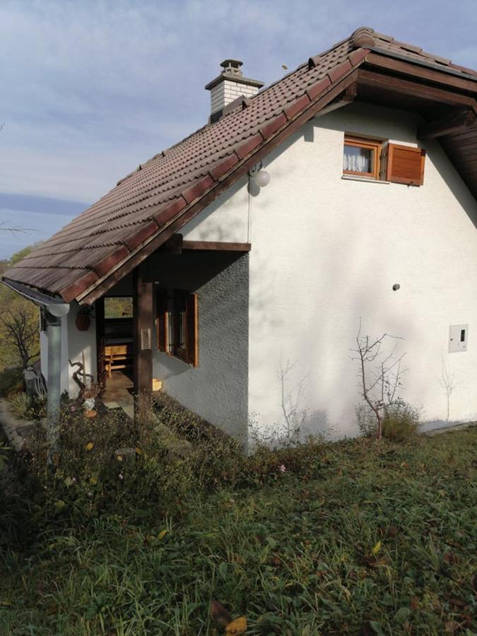 Apartma Pusa Pesnica pri Mariboru Extérieur photo
