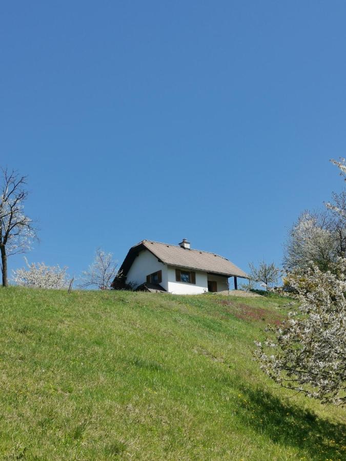 Apartma Pusa Pesnica pri Mariboru Extérieur photo